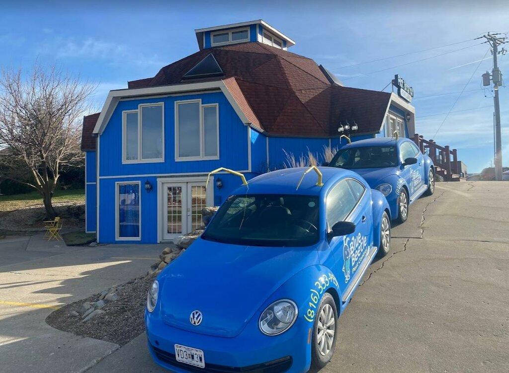 Blue Beetle Pest Control