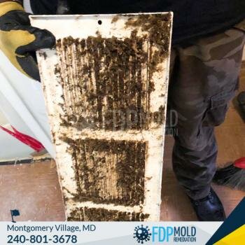 FDP Mold Remediation of Gaithersburg