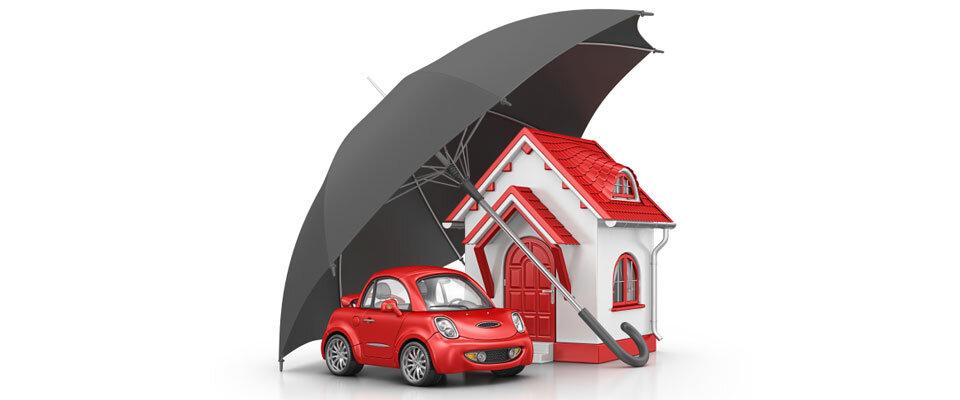 Omega Insurance Agency Tampa  Auto Insurance, Home Insurance & More