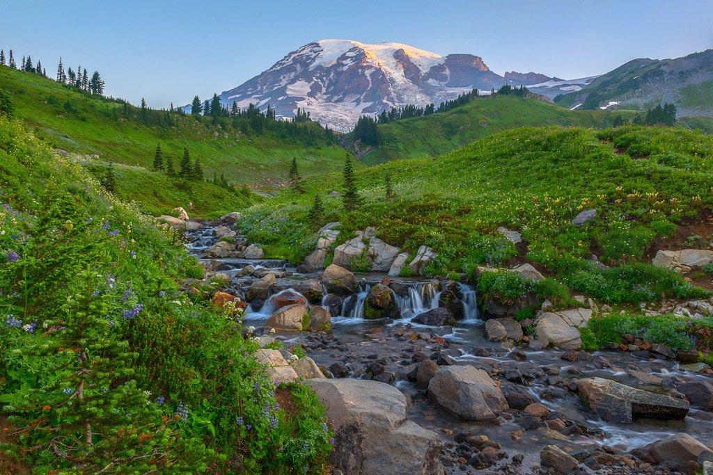 Visit Rainier