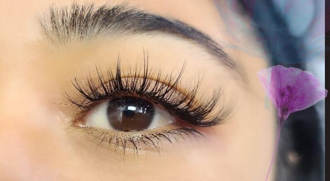 Lash Box-Syosset