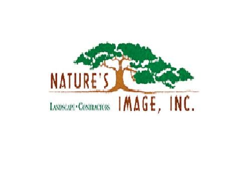 Nature's Image Inc