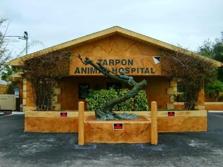 Tarpon Animal Hospital