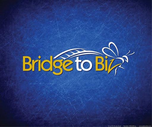 Bridge To Biz