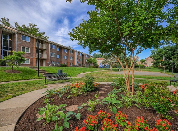 Stony Brook Apartments