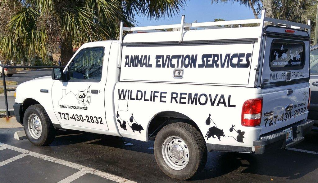 Animal Eviction Services LLC