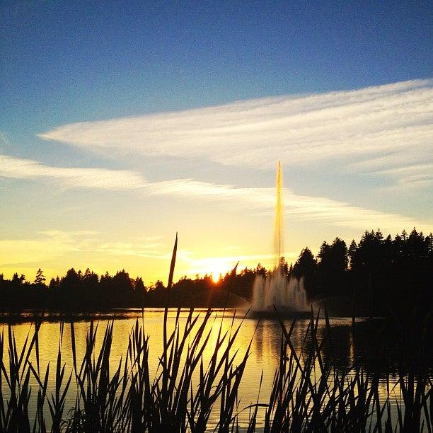 Lost Lagoon