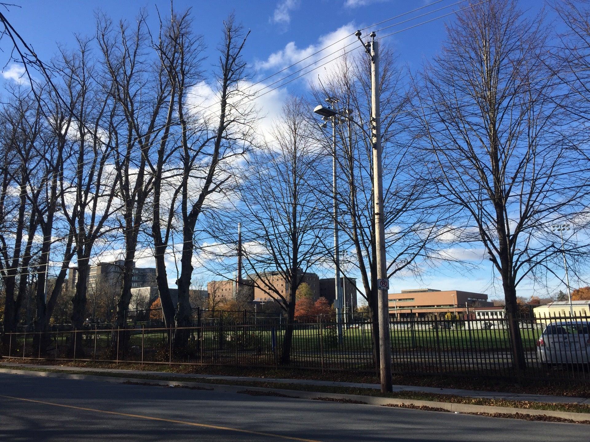 The Wanderers' Grounds