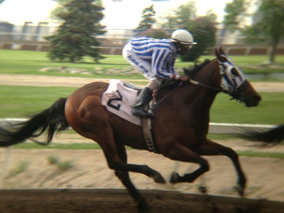 The Horses at Northlands Park