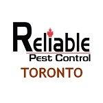 Pest Control Toronto