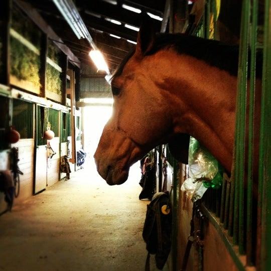 North Shore Equestrian Centre