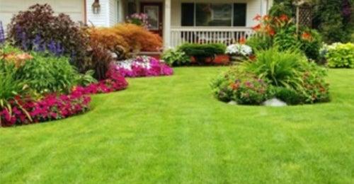 Lawn Care Columbia MO