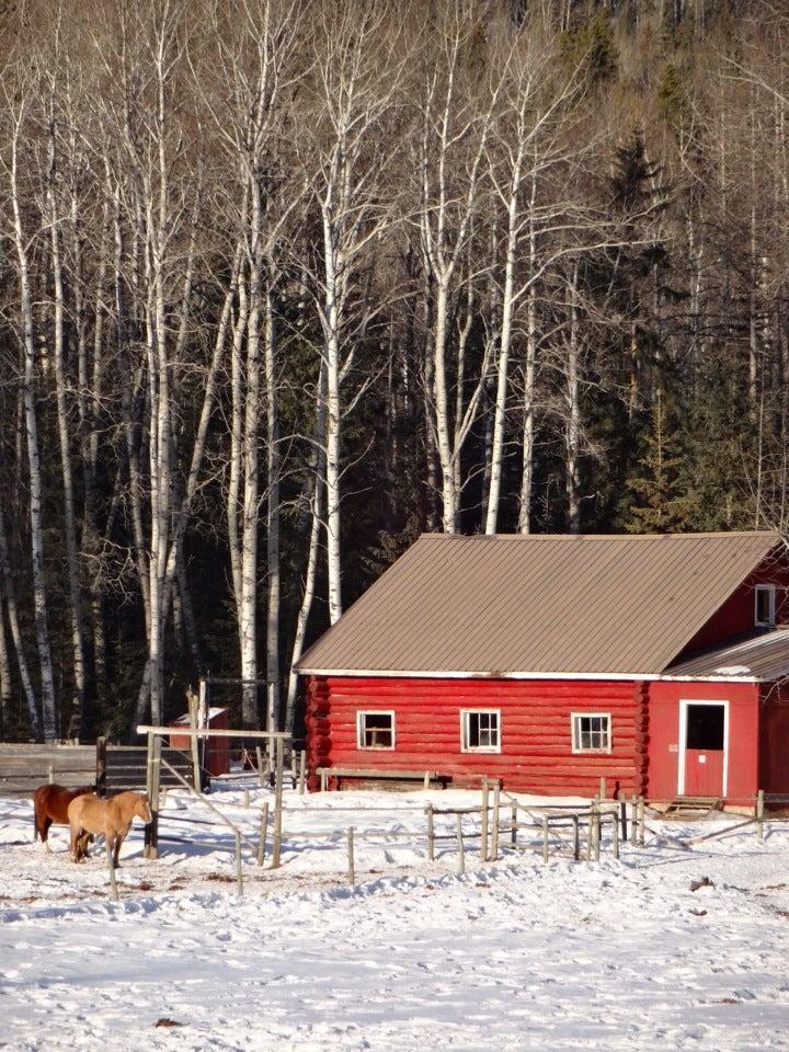 Black Cat Guest Ranch