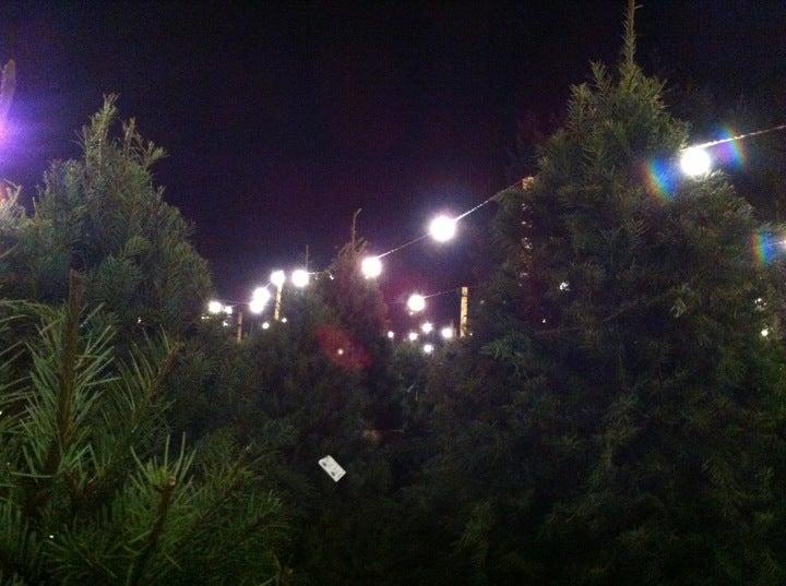 H & M Christmas Tree Farm Inc