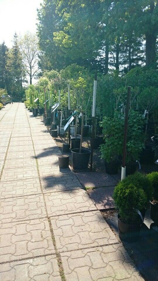 Peter Knippel Nursery Inc