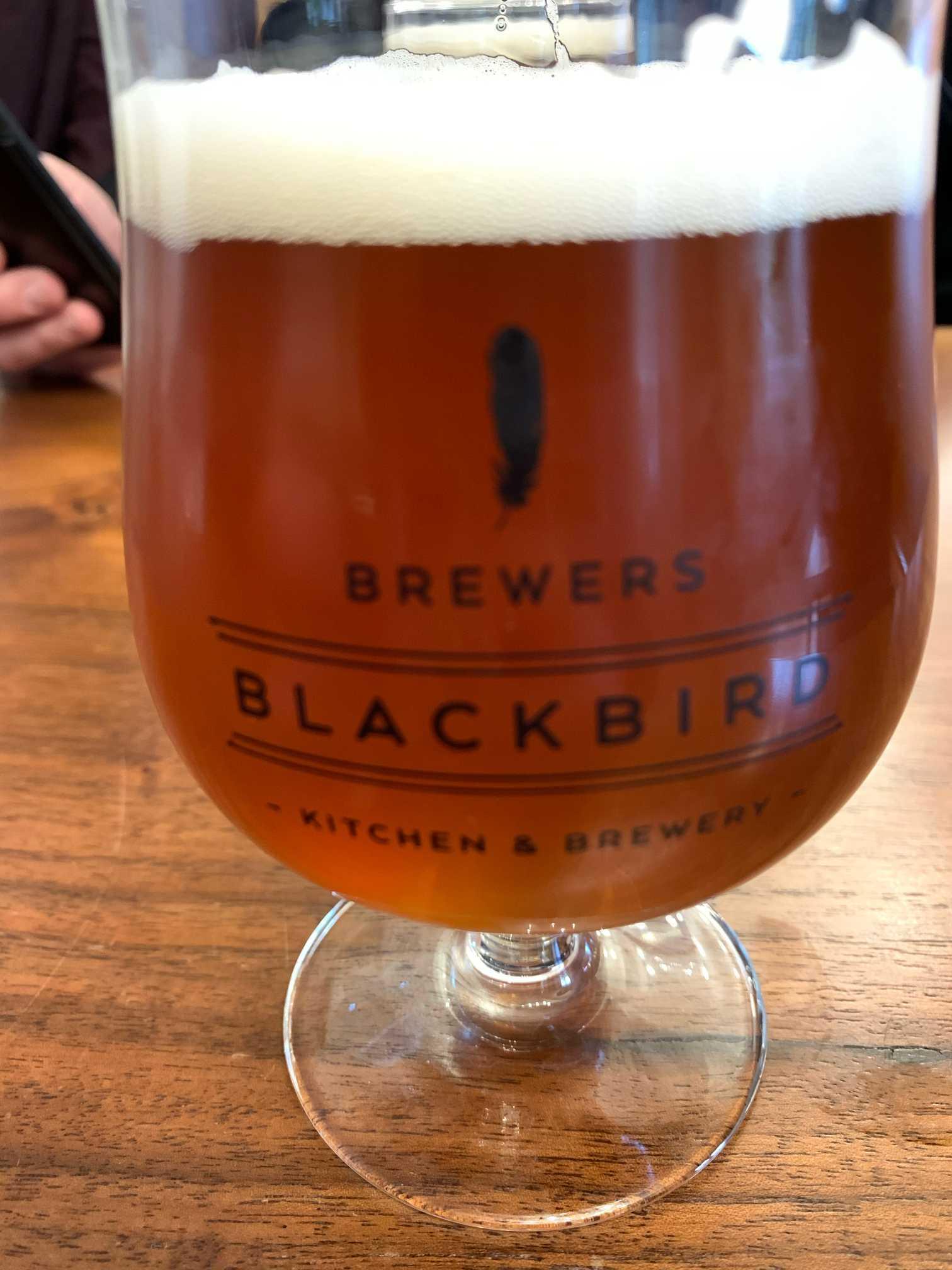 Brewers Blackbird