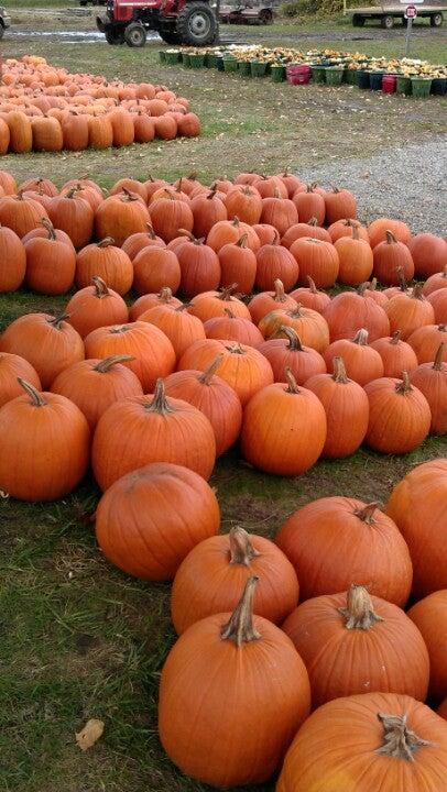 Hi-Berry Farm