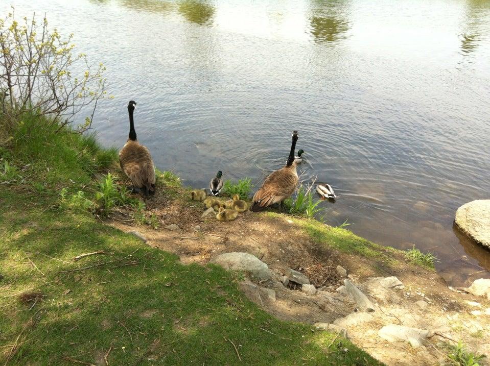 Barrie Waterfront