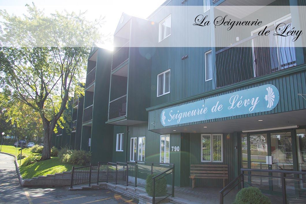 Seigneurie De Levy