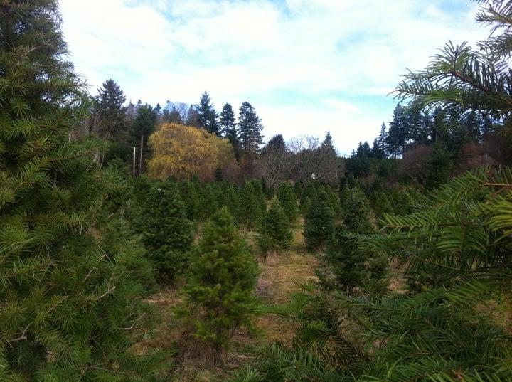 Mountain Ridge Tree Farms