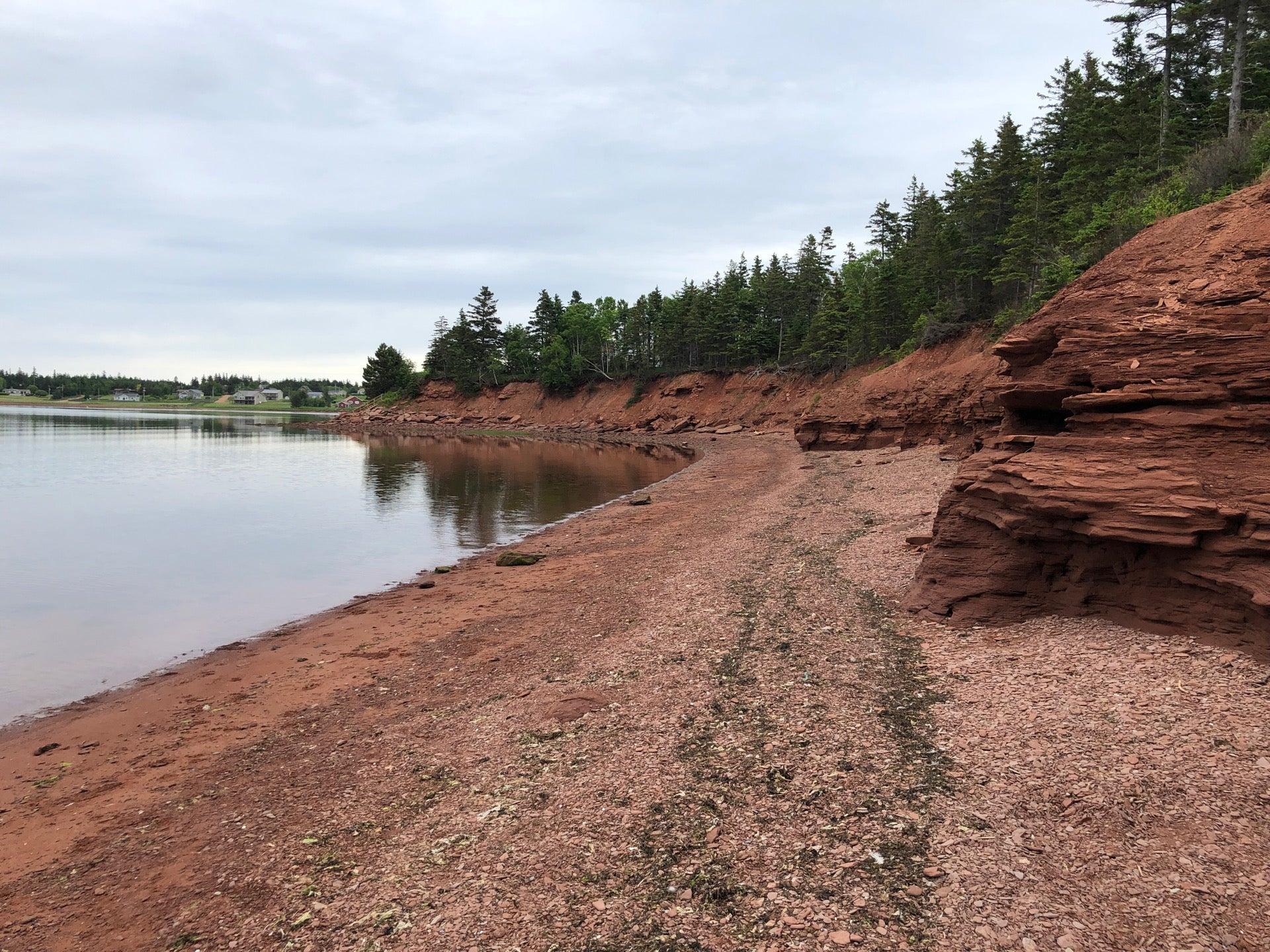 Swimming Rock