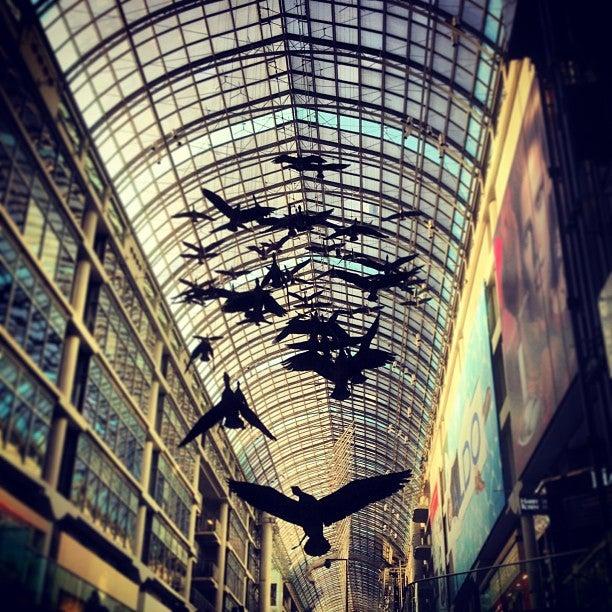 Moose Knuckles Toronto Eaton Centre