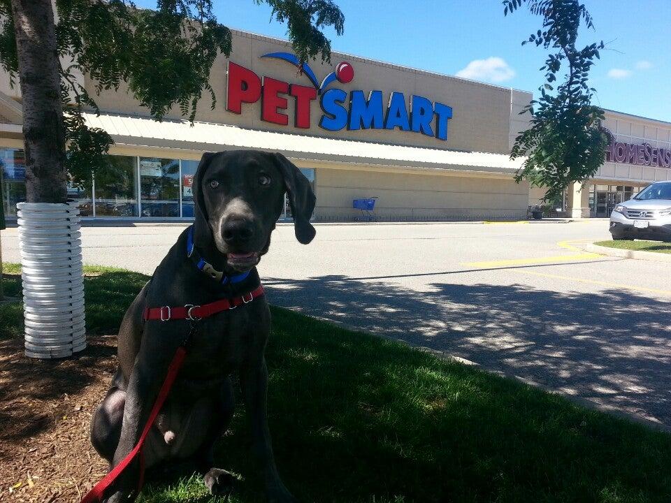 PetSmart