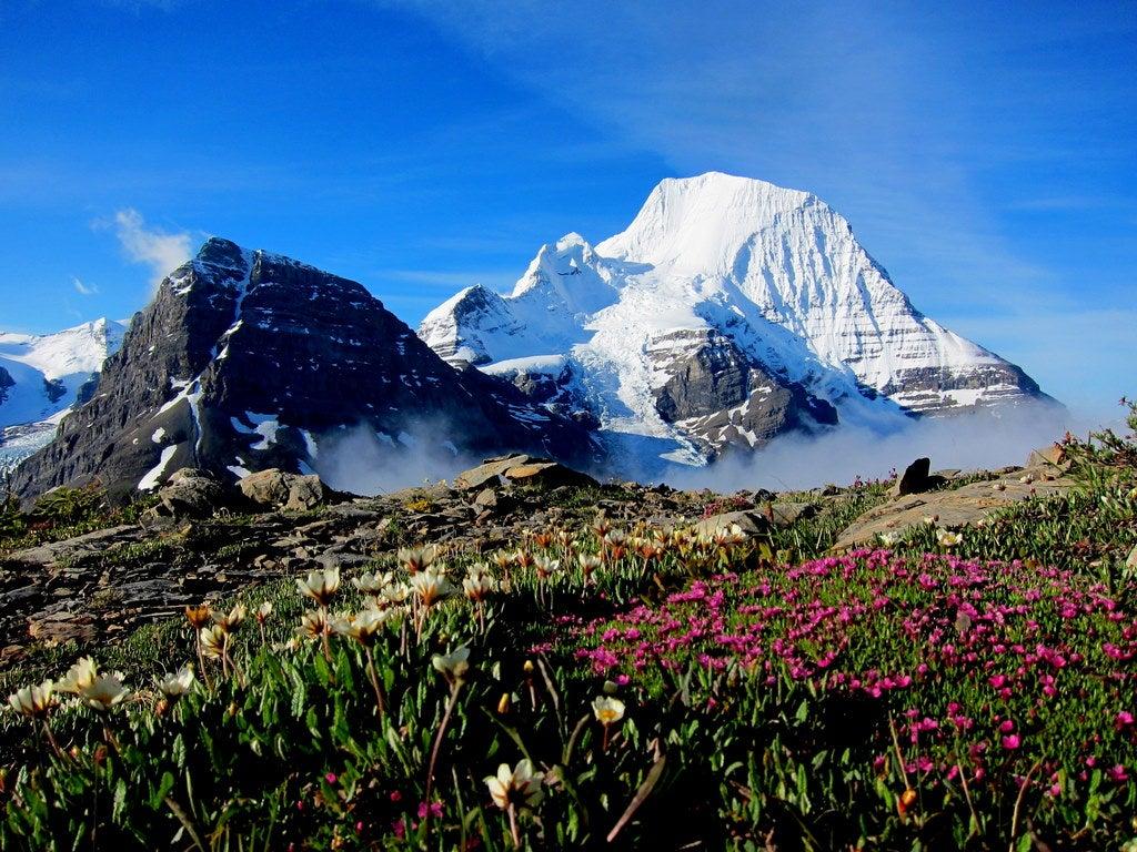 Mount Robson Visitor Centre