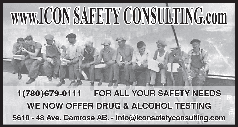 Icon Safety Consulting Inc