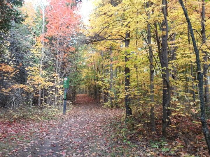 Rideau Trail