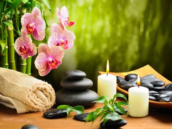 Comfort Oasis Massage Therapy and Foot Spa