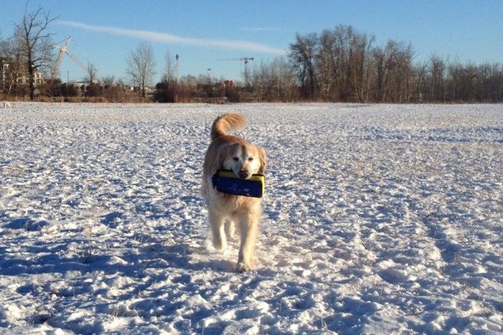 Southland Dog Park