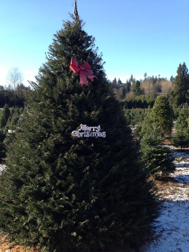 Dogwood Christmas Tree Farm