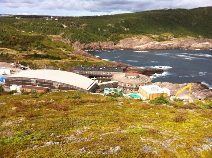 Ocean Sciences Centre Marine Public Education Program