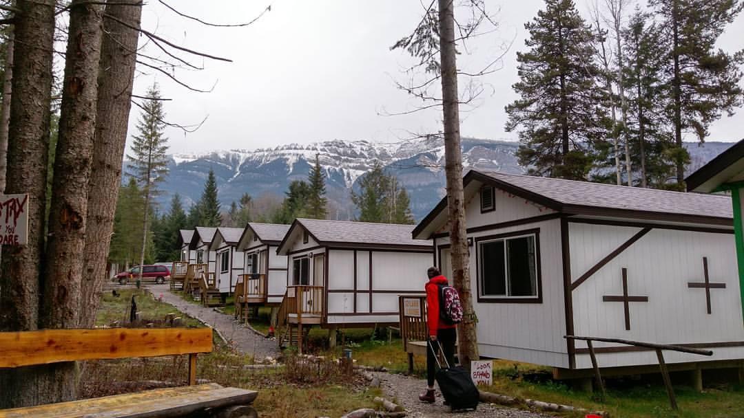 Mountain View Cabins