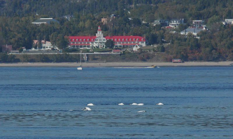 Tadoussac Autrement