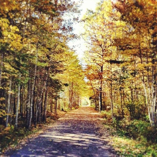 Irishtown Nature Park