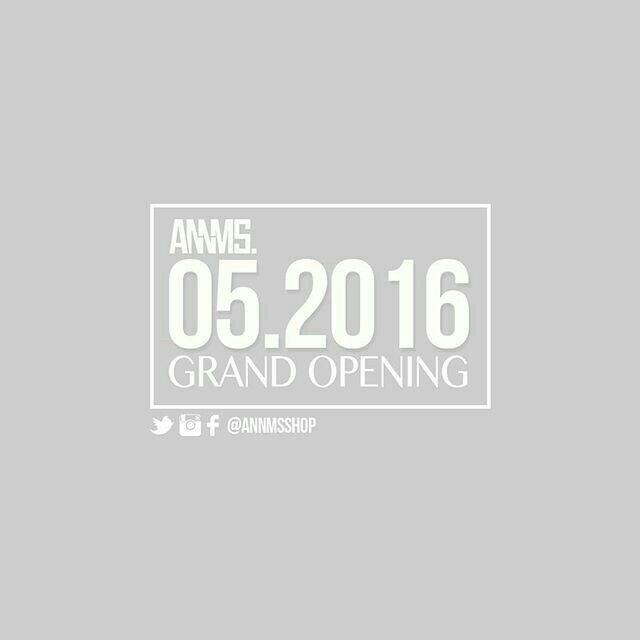 Annms Clothing Inc