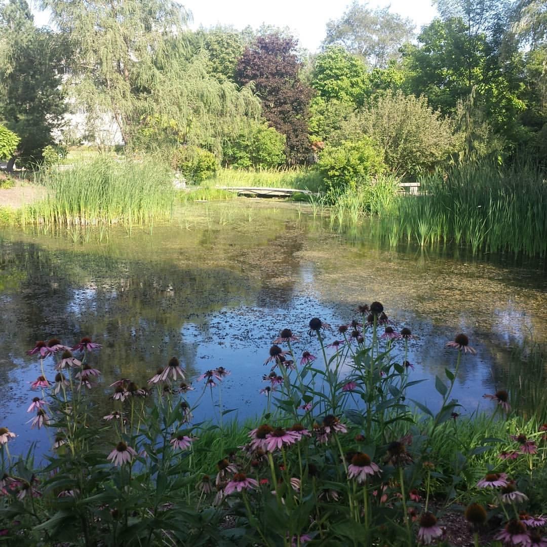 Humber Arboretum