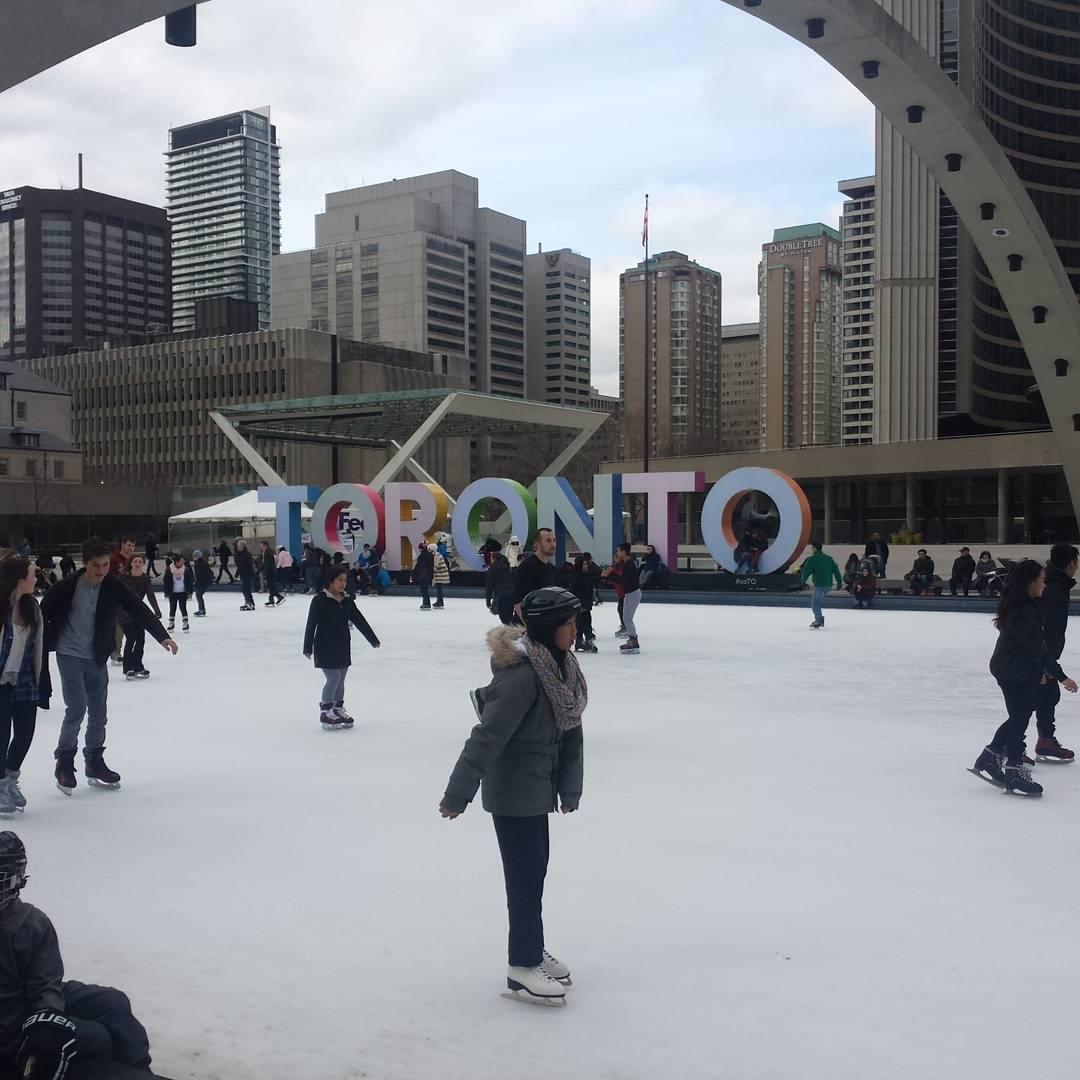 Toronto City Hall Rooftop Garden