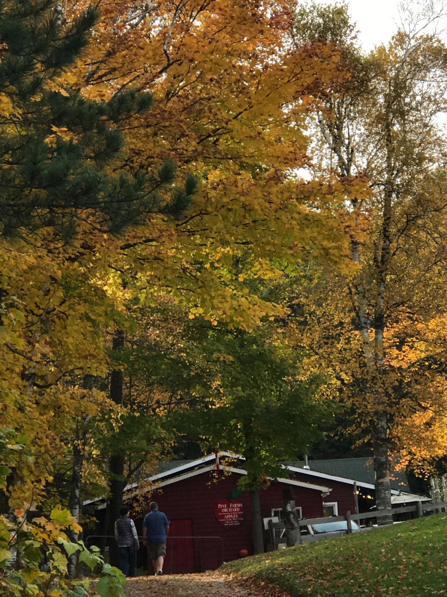 Pine Farms Orchard