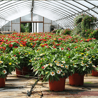 Old Farm Garden Centre