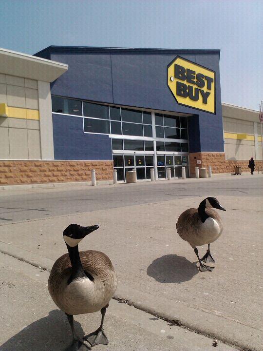 Best Buy