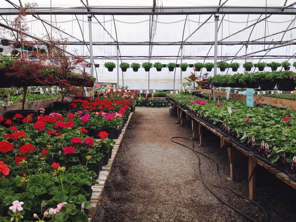 Blue Mountain Nursery