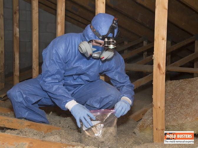 Mold Busters Montreal