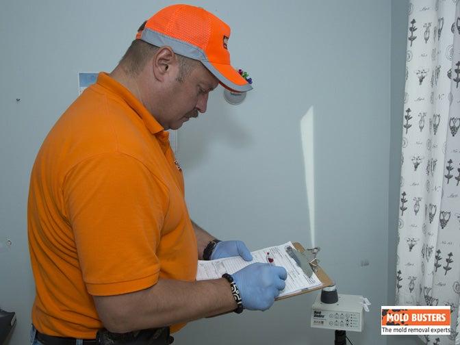 Mold Busters Ottawa