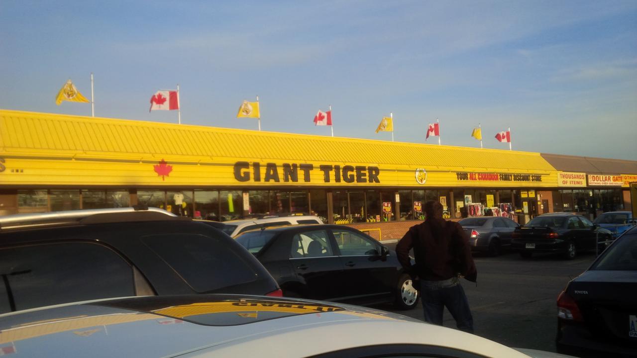 Giant Tiger