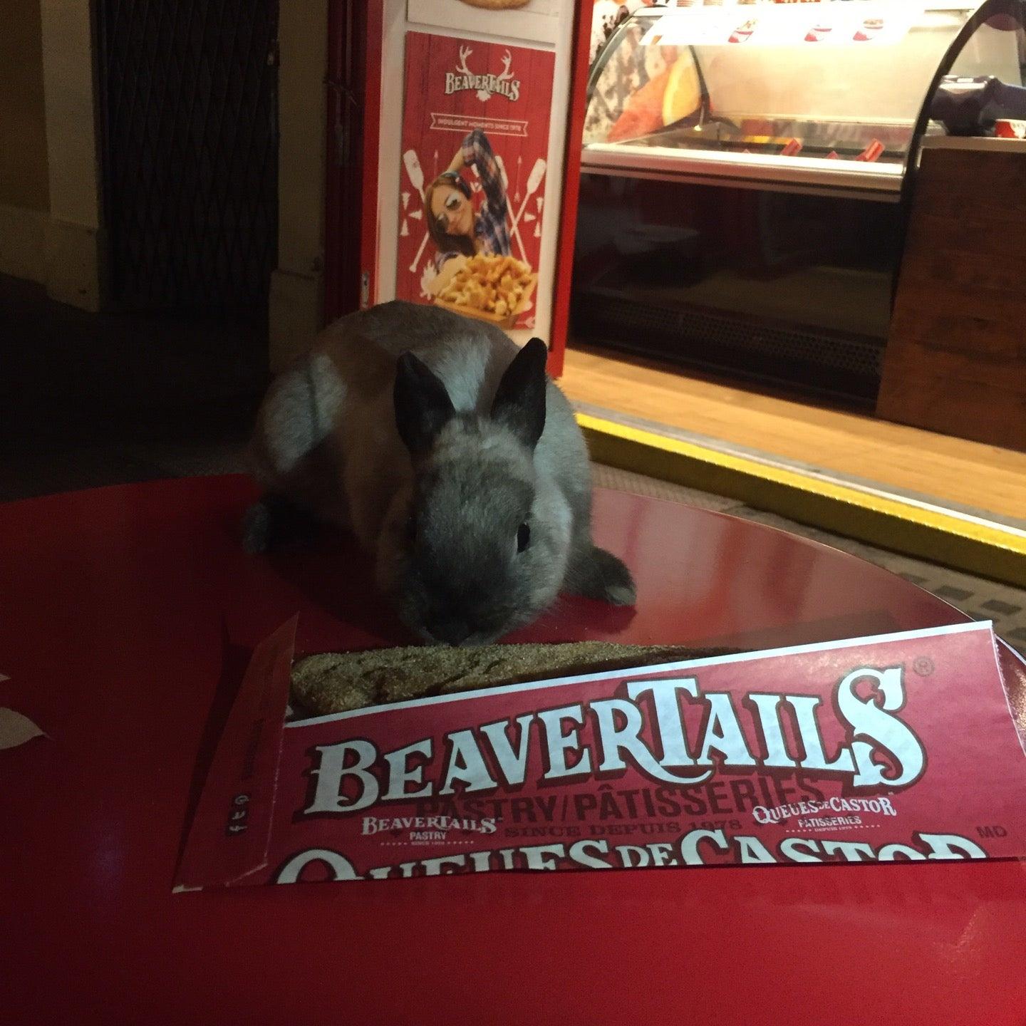 BeaverTails