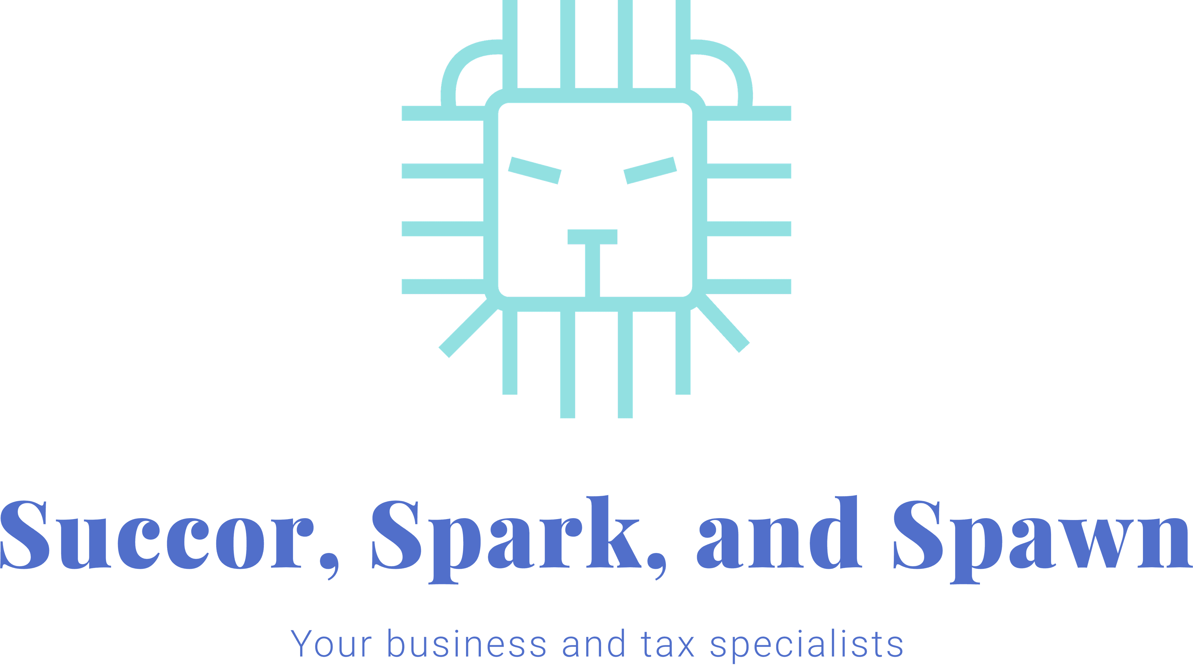 Succor, Spark, And Spawn-Business And Tax Specialists-Kelowna Bookkeepers And Accountants-Tax