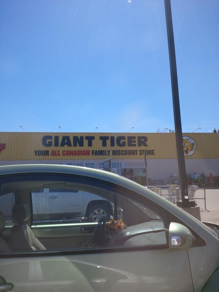 Giant Tiger